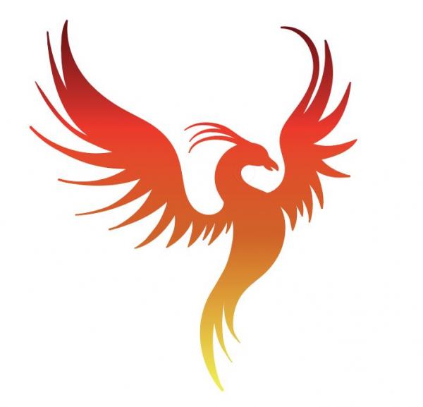 300x300