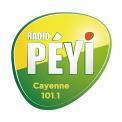 Logo # 402117 voor Radio Péyi Logotype wedstrijd