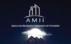 Logo design # 813436 for  AMII : Agence des Mandataire Indépendant Immobilier contest