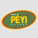 Logo # 402155 voor Radio Péyi Logotype wedstrijd