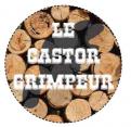 Logo design # 336434 for Entreprise Le Castor Grimpeur contest