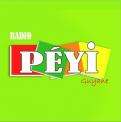 Logo # 397677 voor Radio Péyi Logotype wedstrijd