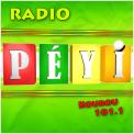 Logo # 397838 voor Radio Péyi Logotype wedstrijd