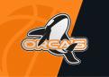 Logo # 997090 voor We werpen een  basket  balletje op! En zijn op zoek naar een sportief en hip logo met orca! wedstrijd