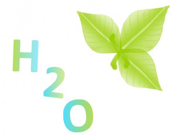 300x300