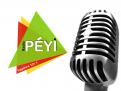 Logo design # 400290 for Radio Péyi Logotype contest