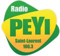 Logo design # 398968 for Radio Péyi Logotype contest