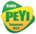 Logo design # 398969 for Radio Péyi Logotype contest