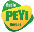 Logo design # 398954 for Radio Péyi Logotype contest