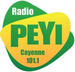 Logo # 398961 voor Radio Péyi Logotype wedstrijd
