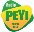 Logo design # 398963 for Radio Péyi Logotype contest