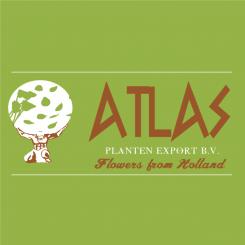 Logo design # 546511 for Flowers from Holland like to go abroad ! contest