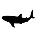 Logo design # 605375 for silhouette drawing of a whale shark contest