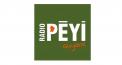 Logo # 397561 voor Radio Péyi Logotype wedstrijd