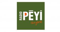 Logo design # 397561 for Radio Péyi Logotype contest