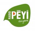 Logo # 397571 voor Radio Péyi Logotype wedstrijd
