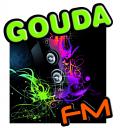 Logo # 97805 voor GoudaFM Logo wedstrijd