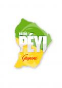 Logo # 396984 voor Radio Péyi Logotype wedstrijd