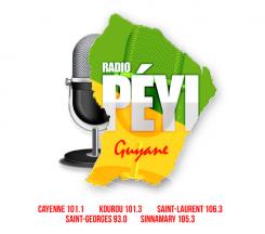 Logo design # 396987 for Radio Péyi Logotype contest