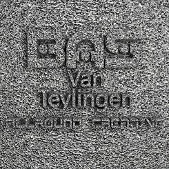 Logo design # 336419 for Logo for Bas van Teylingen contest