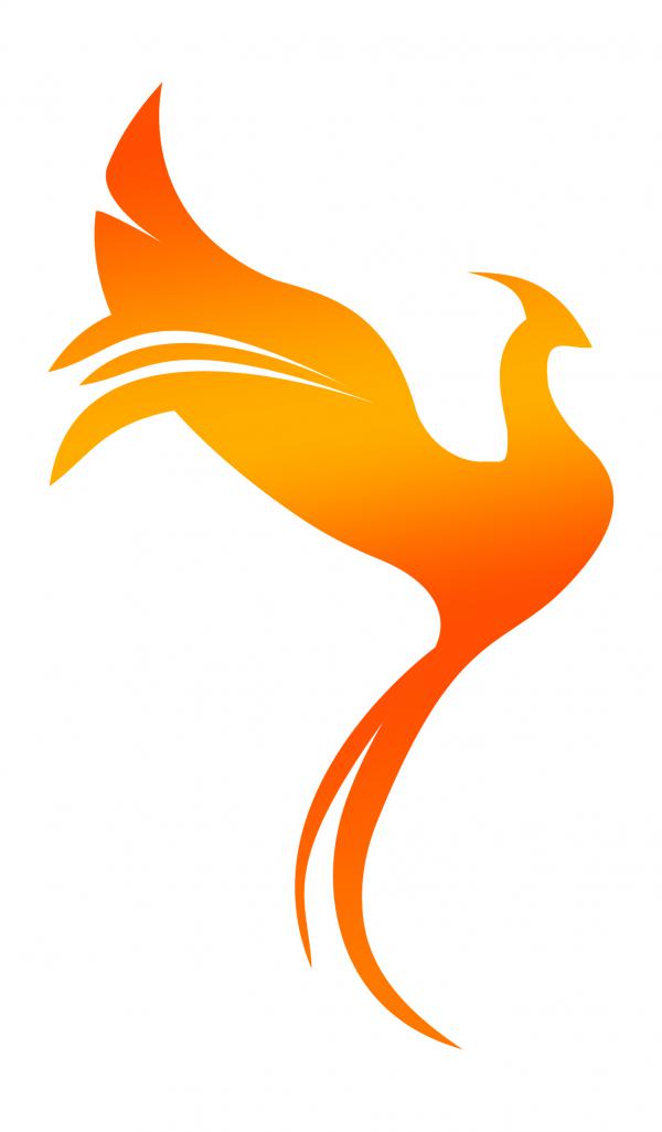 300x300
