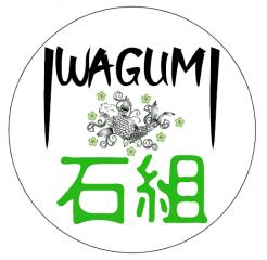 Logo design # 995493 for Logo for a high end website that talks about aquaristics  iwagumi  contest