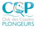 Logo design # 497108 for Logo for a diving club in France : 