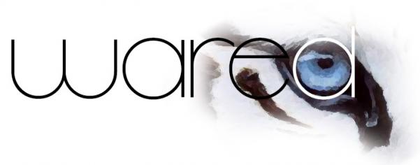 300x300