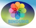 Logo design # 628950 for logo bindung contest