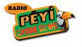 Logo design # 396985 for Radio Péyi Logotype contest