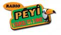 Logo # 397022 voor Radio Péyi Logotype wedstrijd