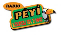Logo design # 397022 for Radio Péyi Logotype contest