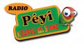 Logo design # 397039 for Radio Péyi Logotype contest