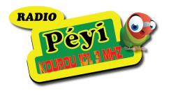 Logo design # 397042 for Radio Péyi Logotype contest