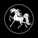 Logo # 1207032 voor Logo voor paardenbedrijf wedstrijd
