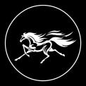 Logo # 1207036 voor Logo voor paardenbedrijf wedstrijd
