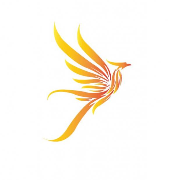 300x300