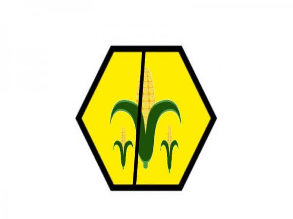 300x300