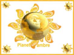Logo design # 85958 for Logoo for my little entreprise Planet'Amber contest