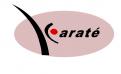Logo design # 200499 for Creation of a logo for a new karaté club contest