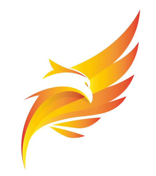 300x300