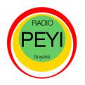 Logo # 397359 voor Radio Péyi Logotype wedstrijd