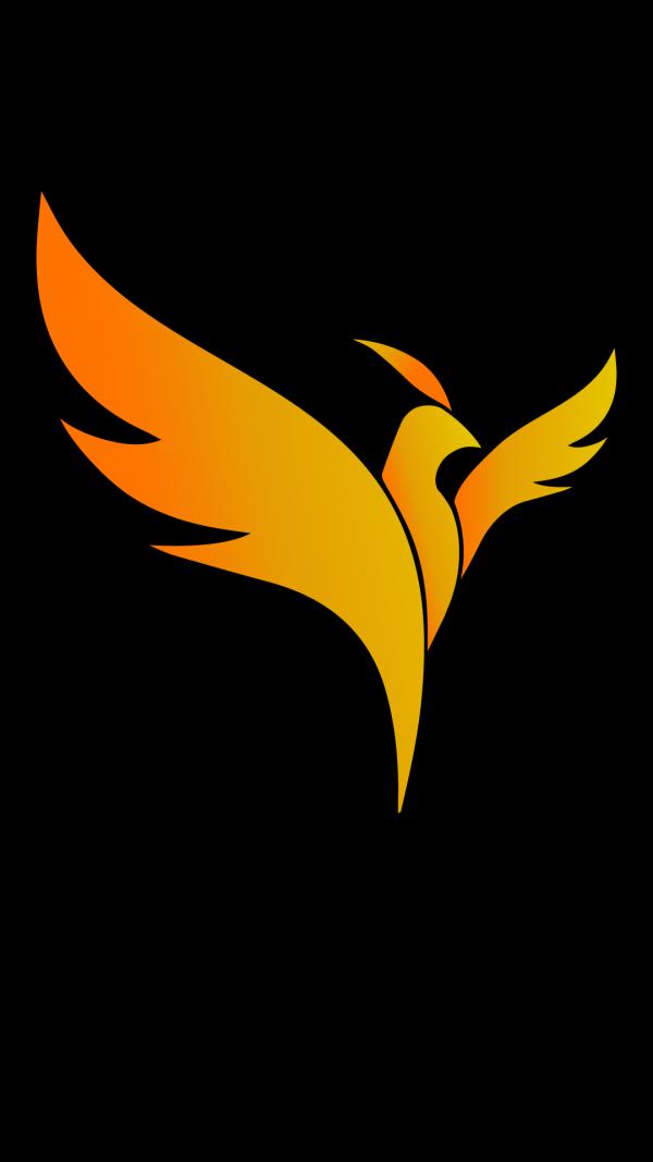 300x300