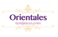 Logo design # 152601 for www.orientalestendances.com online store oriental fashion items contest