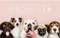 Logo # 1193378 voor promise honden en kattenvoer logo wedstrijd