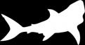 Logo design # 605386 for silhouette drawing of a whale shark contest