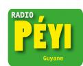 Logo design # 399296 for Radio Péyi Logotype contest