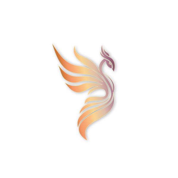 300x300