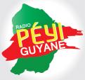 Logo design # 401983 for Radio Péyi Logotype contest