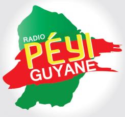 Logo design # 401983 for Radio Péyi Logotype contest